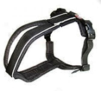 Führgeschirr gepolstert - Half Harness (Sport, Mantrailing, Trekking)